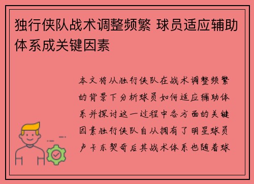 独行侠队战术调整频繁 球员适应辅助体系成关键因素