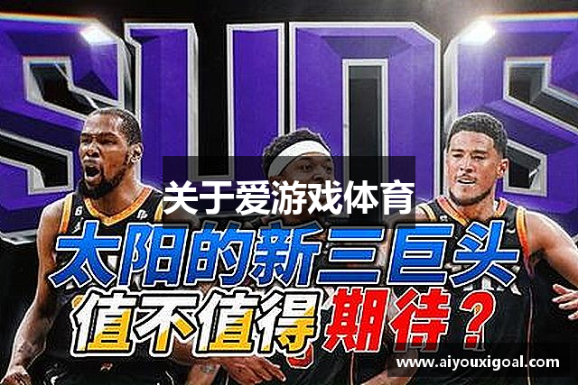 关于爱游戏体育