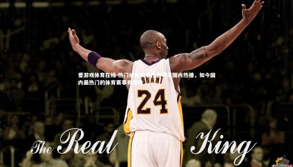 爱游戏体育在线-热门体育赛事在世界范围内热播，如今国内最热门的体育赛事有哪些