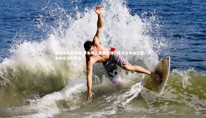 爱游戏体育在线-不来梅队客场告捷，稳定在中游位置，不来梅足球队阵容