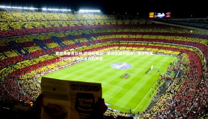 爱游戏体育在线-欧洲杯赛况：冰岛队战力出众，势不可挡，2020年欧洲杯冰岛队阵容