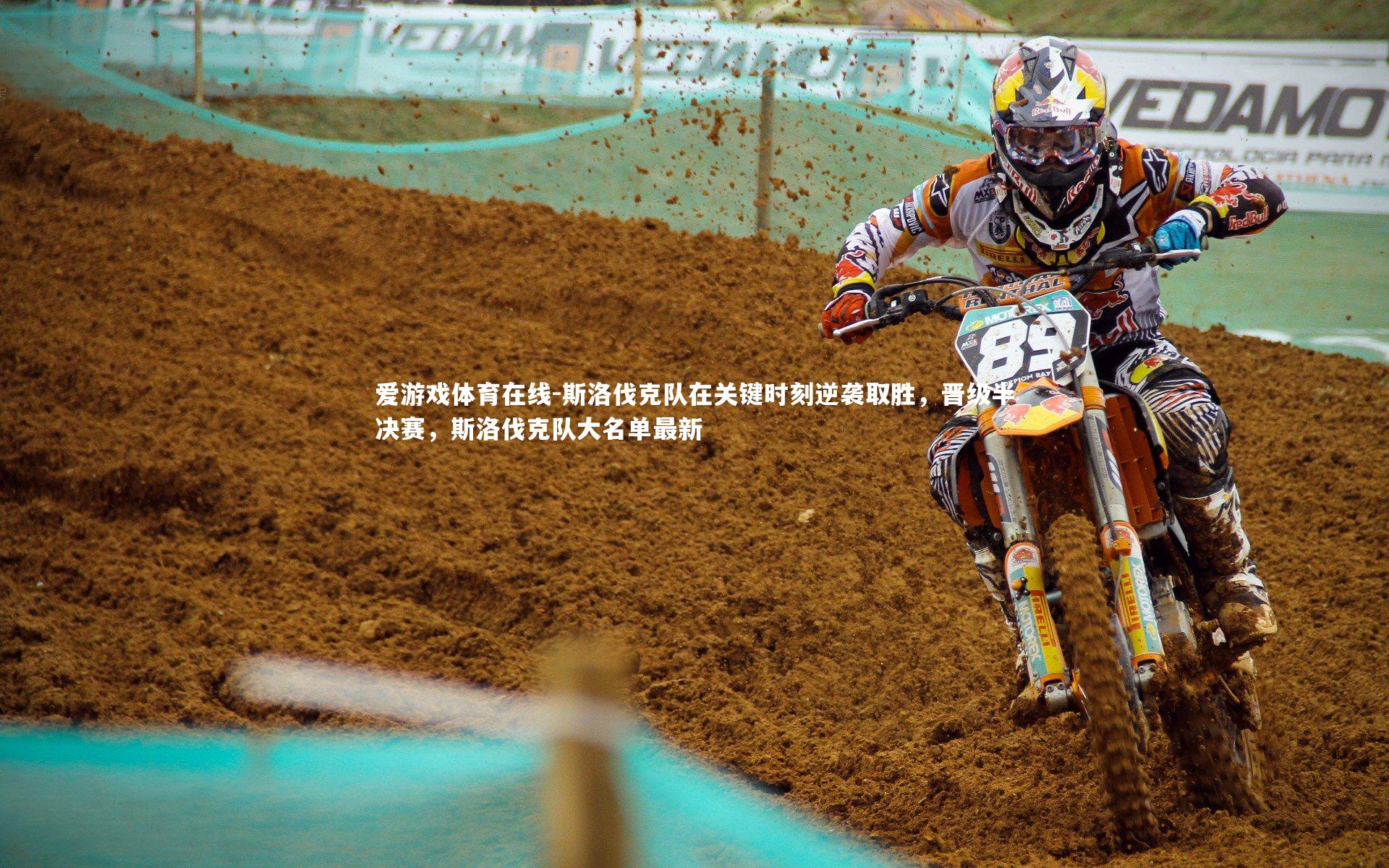 斯洛伐克队在关键时刻逆袭取胜，晋级半决赛，斯洛伐克队大名单最新